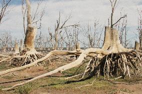 Villa Epecuén, Flooded Town In Buenos Aires