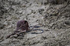 Armistice Day at the Great War Museum trench in Meaux FA