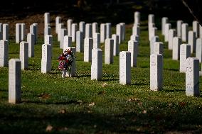 President Biden Visits Arlington Cemetery on Veterans Day