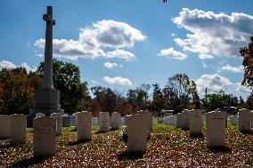 President Biden Visits Arlington Cemetery on Veterans Day