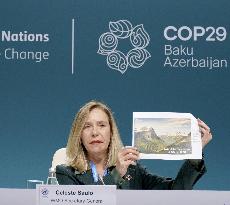 COP29 U.N. climate talks