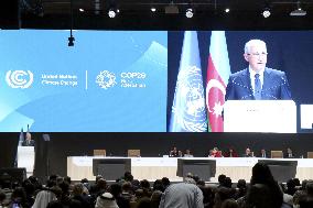 COP29 U.N. climate talks