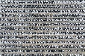 Volvo Cars at A Port on the Yangtze River in Nanjing