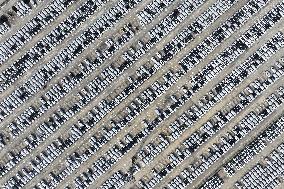 Volvo Cars at A Port on the Yangtze River in Nanjing