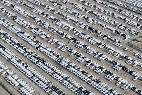 Volvo Cars at A Port on the Yangtze River in Nanjing