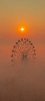 A Ferris Wheel Looms in Advection Fog