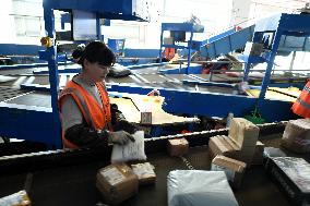 Express Logistics Sorting Transportation