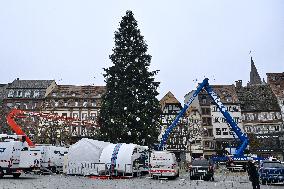 Christmas Market - Strasbourg