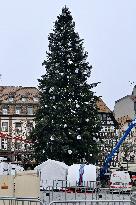 Christmas Market - Strasbourg