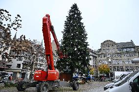 Christmas Market - Strasbourg