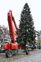 Christmas Market - Strasbourg