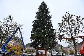 Christmas Market - Strasbourg