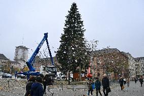 Christmas Market - Strasbourg