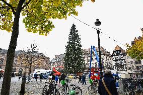 Christmas Market - Strasbourg