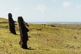 Moai Of Rapa Nui, Easter Island