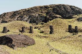 Moai Of Rapa Nui, Easter Island