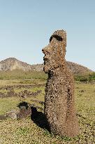 Moai Of Rapa Nui, Easter Island