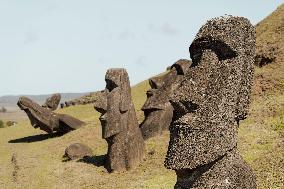 Moai Of Rapa Nui, Easter Island