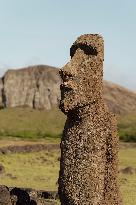 Moai Of Rapa Nui, Easter Island