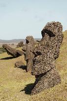 Moai Of Rapa Nui, Easter Island