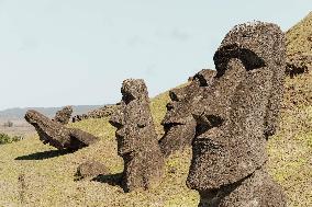 Moai Of Rapa Nui, Easter Island