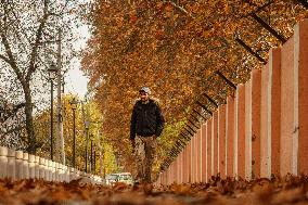 Autumn Season In Kashmir