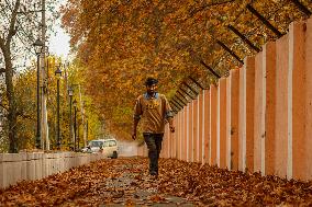 Autumn Season In Kashmir