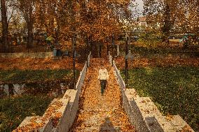 Autumn Season In Kashmir