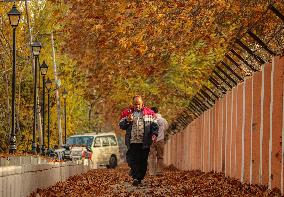 Autumn Season In Kashmir