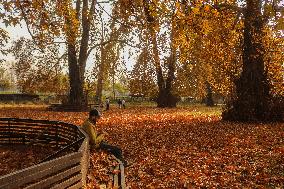 Autumn Season In Kashmir