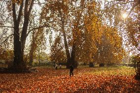 Autumn Season In Kashmir