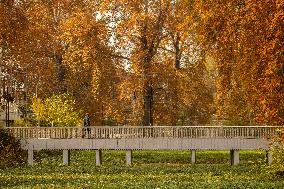 Autumn Season In Kashmir