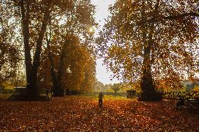 Autumn Season In Kashmir