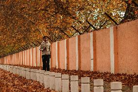 Autumn Season In Kashmir