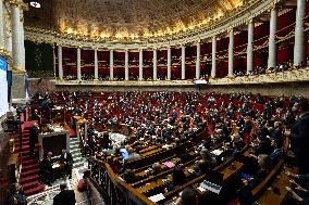 Questions to the government at the National Assembly - Paris