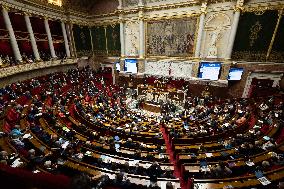 Questions to the government at the National Assembly - Paris