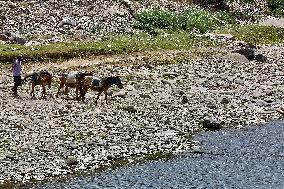 Daily Life In Uttarakhand, India