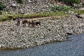 Daily Life In Uttarakhand, India