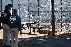 Evidence Markers At Scene Where A 21-year-old Man Was Fatally Stabbed At Steuben Park In Brooklyn New York