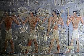 Saqqara Necropolis - Egypt