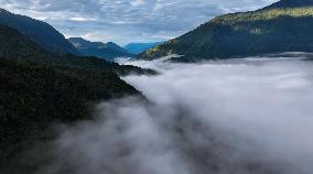 Sea Of Clouds In Medog County - China