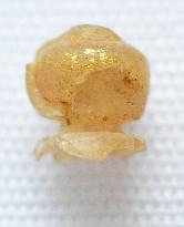 Ancient glass bead unearthed in Japan