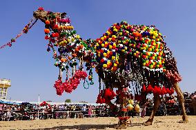 Pushkar Camel Fair - India