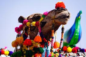 Pushkar Camel Fair - India