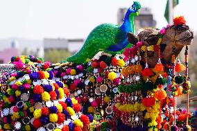 Pushkar Camel Fair - India