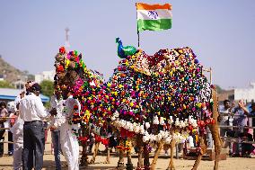 Pushkar Camel Fair - India