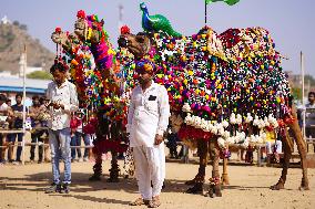 Pushkar Camel Fair - India