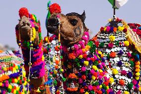 Pushkar Camel Fair - India