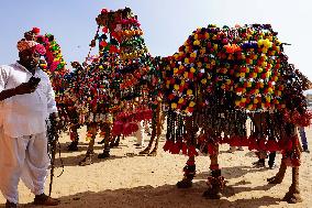 Pushkar Camel Fair - India