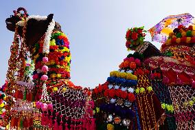 Pushkar Camel Fair - India